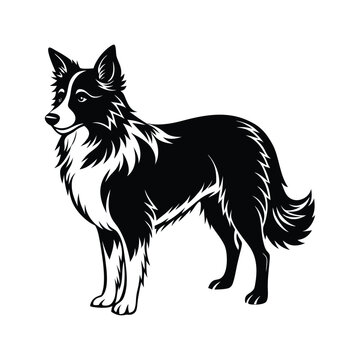 recommend clip art: silhouette of Border Collie dog face clipart design