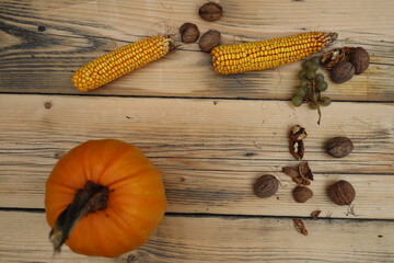 Autumn harvest elements on the wood background