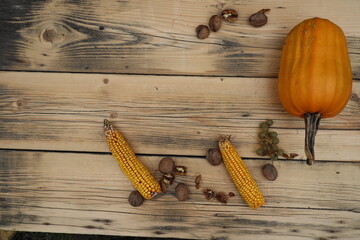 Autumn harvest elements on the wood background