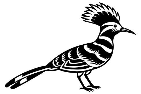 recommend clip art: hoopoe  silhouette  vector icon