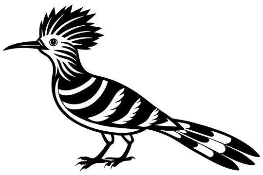 recommend clip art: hoopoe  silhouette  vector icon