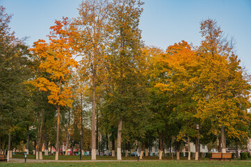Autumn landscape of public park with footpath and autumn leaf colors of trees.