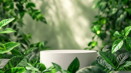Product podium with leaves and green plants background