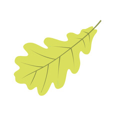 autumnal4. Wave shaped acorn tree leaf autumn leaves illustration