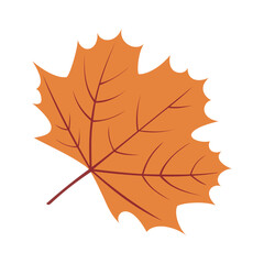 autumnal2. autumn foliage against a white background