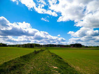Forest and meadows - Beauty of Kashubia, Poland.