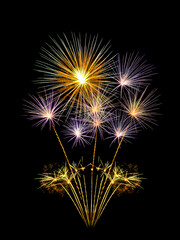 Fototapeta premium Colorful firework sparkling on black background for celebration and anniversary