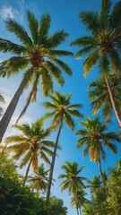 A bright, sunny tropical sky with palm trees standing tall against a vivid blue sky, their leaves catching the soft morning light
