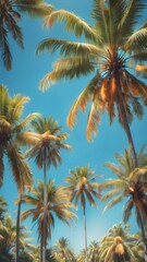 Obraz premium A bright, sunny tropical sky with palm trees standing tall against a vivid blue sky, their leaves catching the soft morning light 