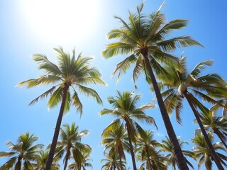 Fototapeta premium A bright, sunny tropical sky with palm trees standing tall against a vivid blue sky, their leaves catching the soft morning light 