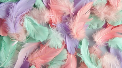 Colorful Feathers in Pastel Shades for Decoration