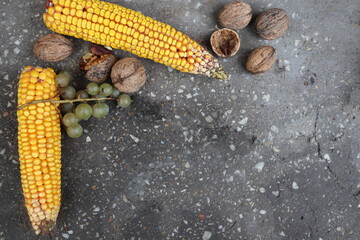 Autumn harvest elements on the concrete background