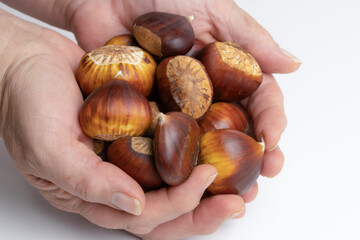 woman's hands picking up fresh seasonal chestnuts