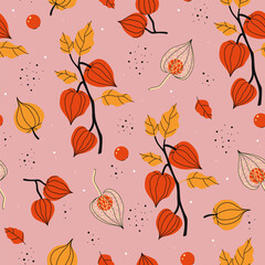 Seamless pattern with autumn physalis in orange colors. Vector graphics