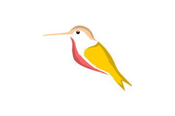 Obraz premium HummingBird Colored Design Graphic Wildlife Illustration