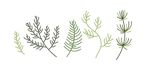 Different stylized pine branches flat color vector objects set. Christmas and new year greeting cards elements illustrations pack on white