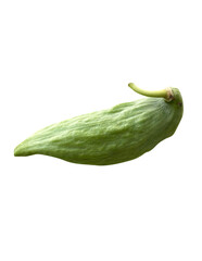 Fruit of Giant Indian Milkweed isolated on white background.