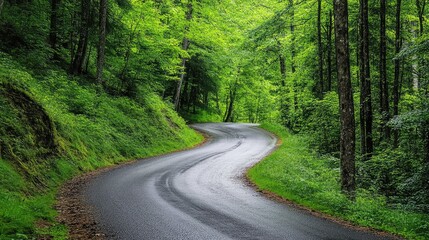 Fototapeta premium Serene Curved Road Surrounded by Lush Green Forest