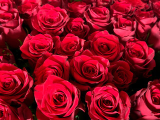 big bouquet of red roses