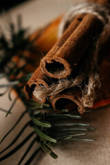 cinnamon sticks with a Christmas tree branch