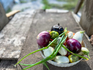Freshly picked colorful eggplants and green onions in a bowl