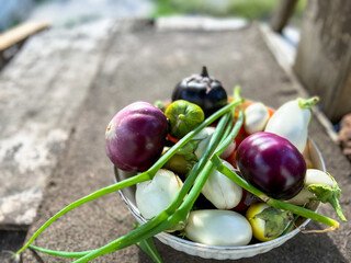 Bowl overflowing with freshly picked small eggplants and onions