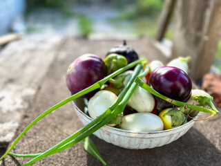 Freshly picked eggplants resting in a bowl