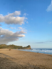 beach with clear sky