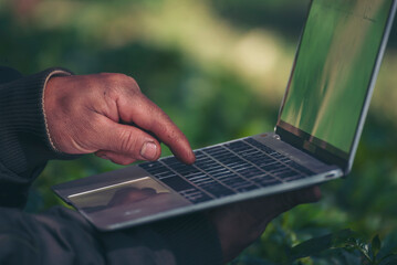Smart farmer using laptop in eco green farm sustainable quality control. Close up Hand typing laptop computer quality control plant tree. Farmer hands using technology in eco Farmland biotechnology © aFotostock