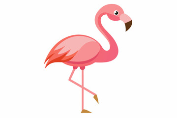 Pink flamingo bird vector, Exotic pink flamingo bird, Flamingo bird animal clipart