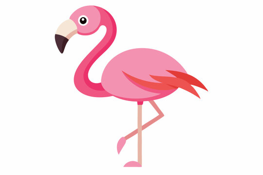 recommend clip art: Pink flamingo bird vector, Exotic pink flamingo bird, Flamingo bird animal clipart