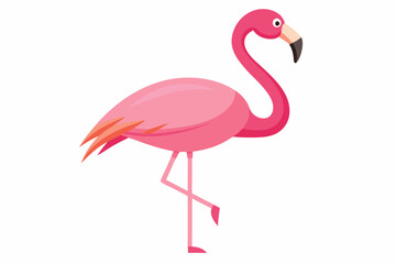 Pink flamingo bird vector, Exotic pink flamingo bird, Flamingo bird animal clipart