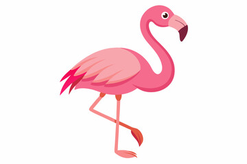 Pink flamingo bird vector, Exotic pink flamingo bird, Flamingo bird animal clipart