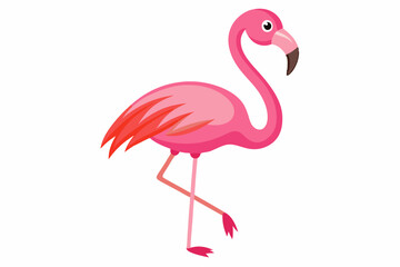 Pink flamingo bird vector, Exotic pink flamingo bird, Flamingo bird animal clipart