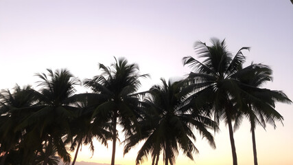 A peaceful tropical sky at dusk, with the sun setting behind a row of palm trees and the sky turning shades of purple and gold

