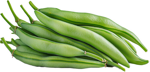 Fototapeta premium Green Beans illustration - Haricots Verts vegetable isolated on a white background 