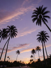 Obraz premium A peaceful tropical sky at dusk, with the sun setting behind a row of palm trees and the sky turning shades of purple and gold 