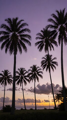 Obraz premium A peaceful tropical sky at dusk, with the sun setting behind a row of palm trees and the sky turning shades of purple and gold 
