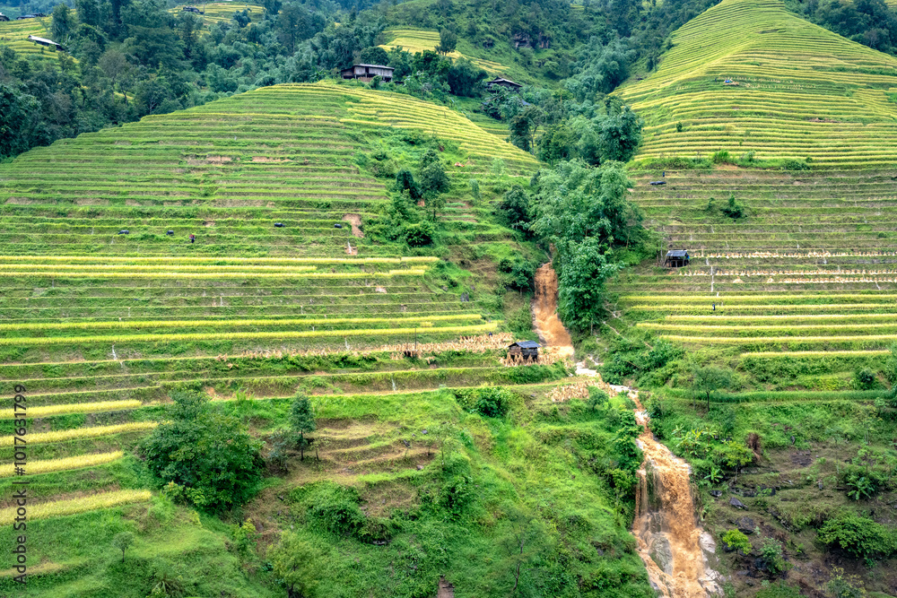 Wall mural Admiring the beautiful terraced fields in Bac Quang District, Ha Giang Province, Vietnam