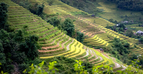 Admiring the beautiful terraced fields in Bac Quang District, Ha Giang Province, Vietnam
