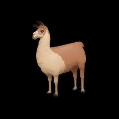Fototapeta premium 🦙 Llama 