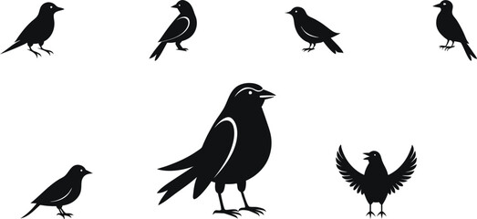 Fototapeta premium bird silhouette vector art logo Icon design black and white