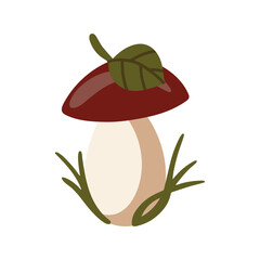 Vector isolated element. An edible mushroom. White mushroom. Birch mushroom. Autumn time. Color image on a white background. The print is used for packaging design.
