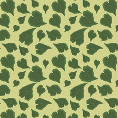 Rhodochiton atrosanguineus Mexican perennial vine plant green leaves background pattern on a single colour background.