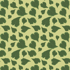 Rhodochiton atrosanguineus Mexican perennial vine plant green leaves background pattern on a single colour background.