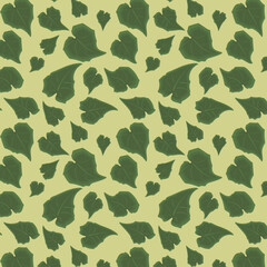 Rhodochiton atrosanguineus Mexican perennial vine plant green leaves background pattern on a single colour background.