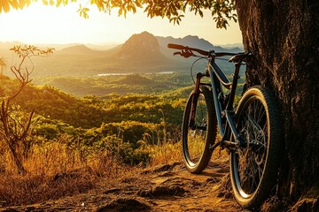 Fototapeta premium A mountain bike resting against a tree with a breathtaking view in the background. Bright sunlight. Nature setting.