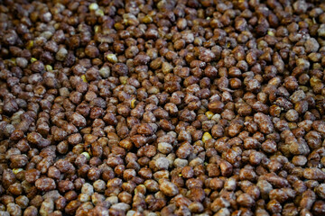 Salted Pistachios for Beer, Macro, Spin. Isolated Background of a Beer Snack of Salted Pistachio Nuts. Healthy Delicious Pistachios. Salted roasted pistachio macro	