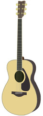 Guitar acoustic