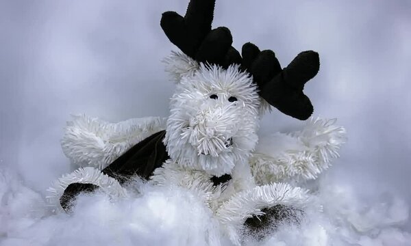 Peluche de renne tout blanc avec une &eacute;charpe, allong&eacute;e dans la neige, ambiance hivernale et festive